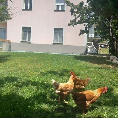 Casa Sergio Grosio Ngoại thất bức ảnh