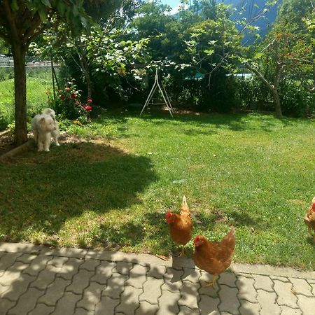 Casa Sergio Grosio Ngoại thất bức ảnh