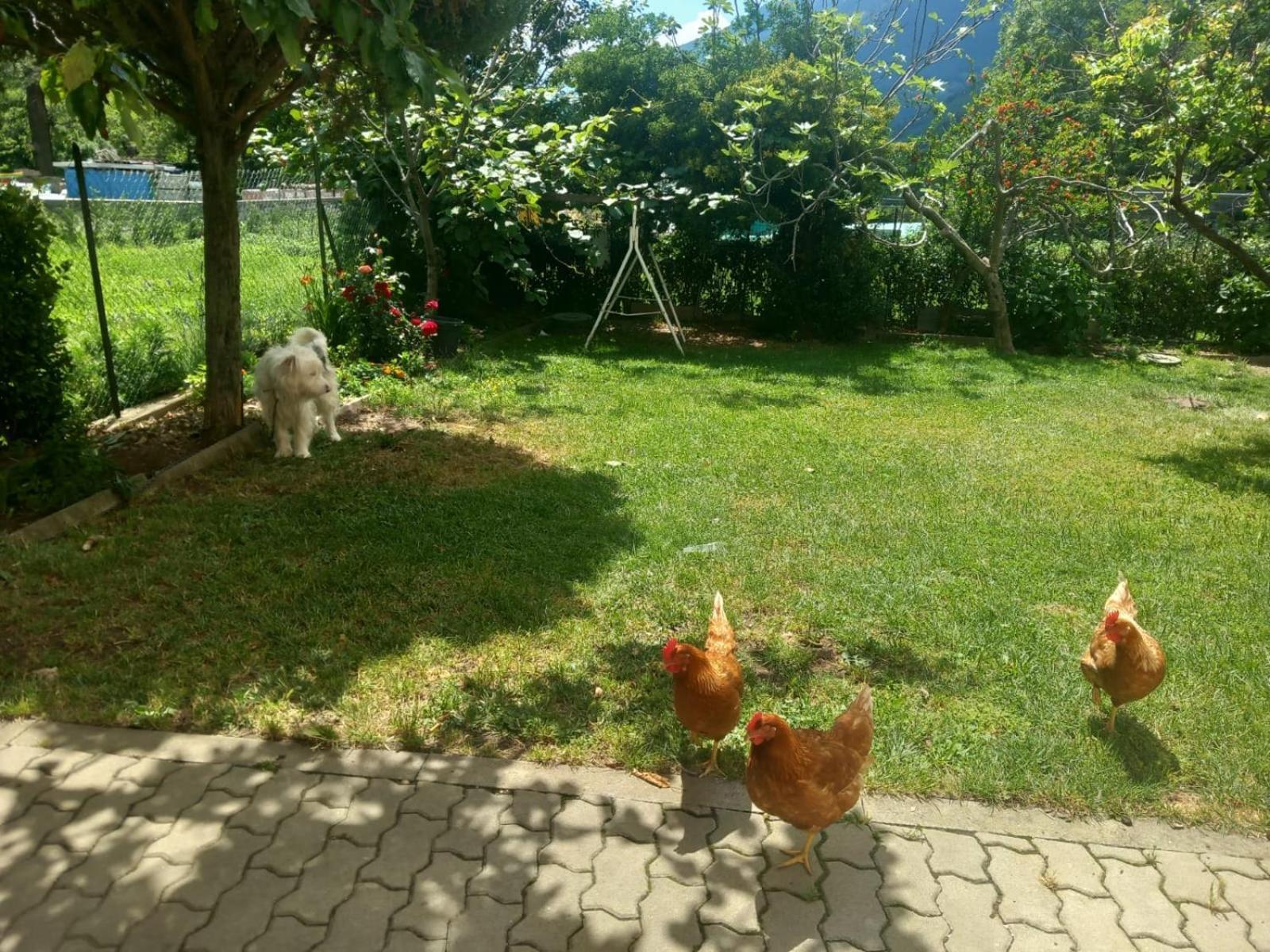Casa Sergio Grosio Ngoại thất bức ảnh